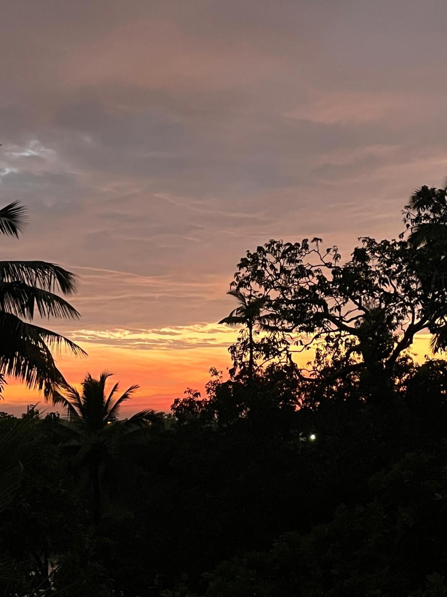 Green Nest Hostel, Baga- North Goa アーポラ エクステリア 写真