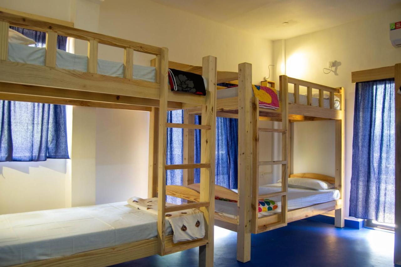 Green Nest Hostel, Baga- North Goa アーポラ エクステリア 写真