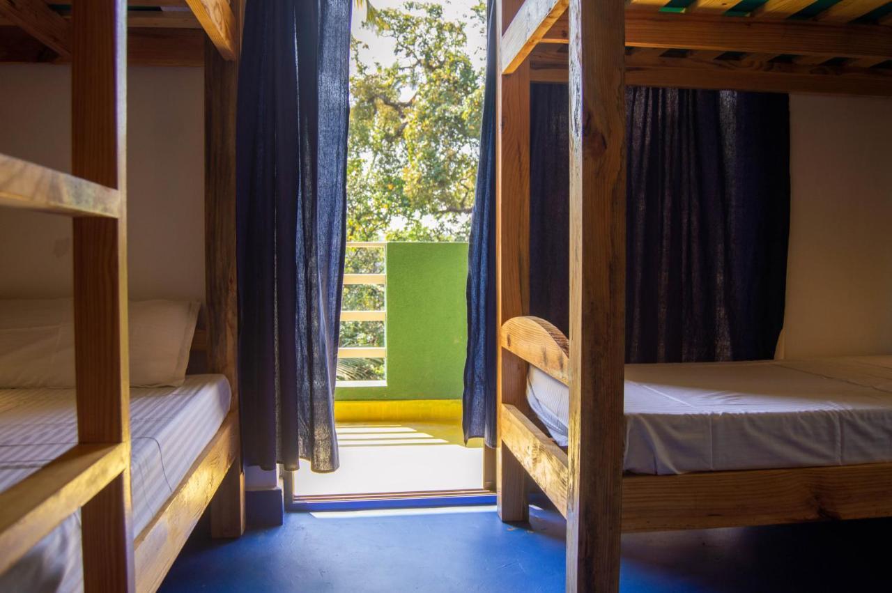 Green Nest Hostel, Baga- North Goa アーポラ エクステリア 写真